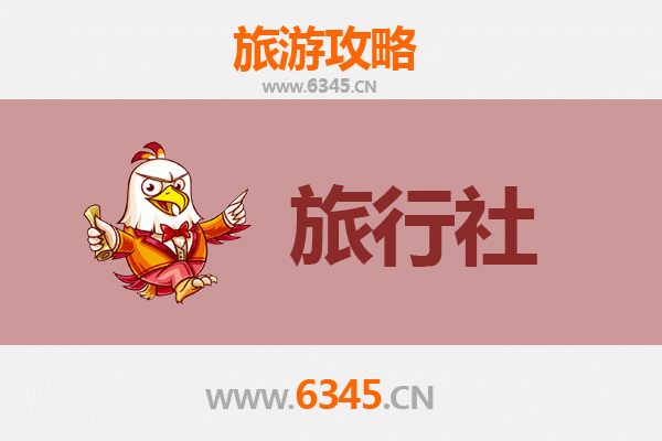 呼和浩特新城旅行社精选推荐：草原文化与现代服务的完美融合